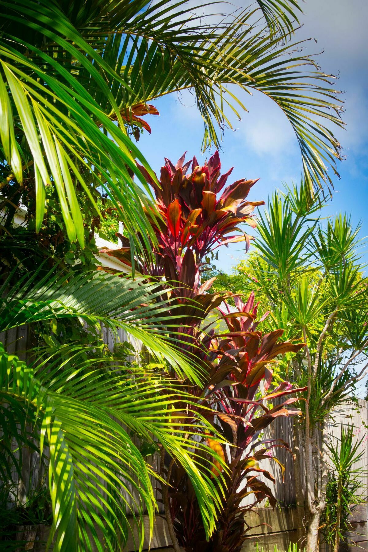 Ruskin House Byron Bay Zewnętrze zdjęcie