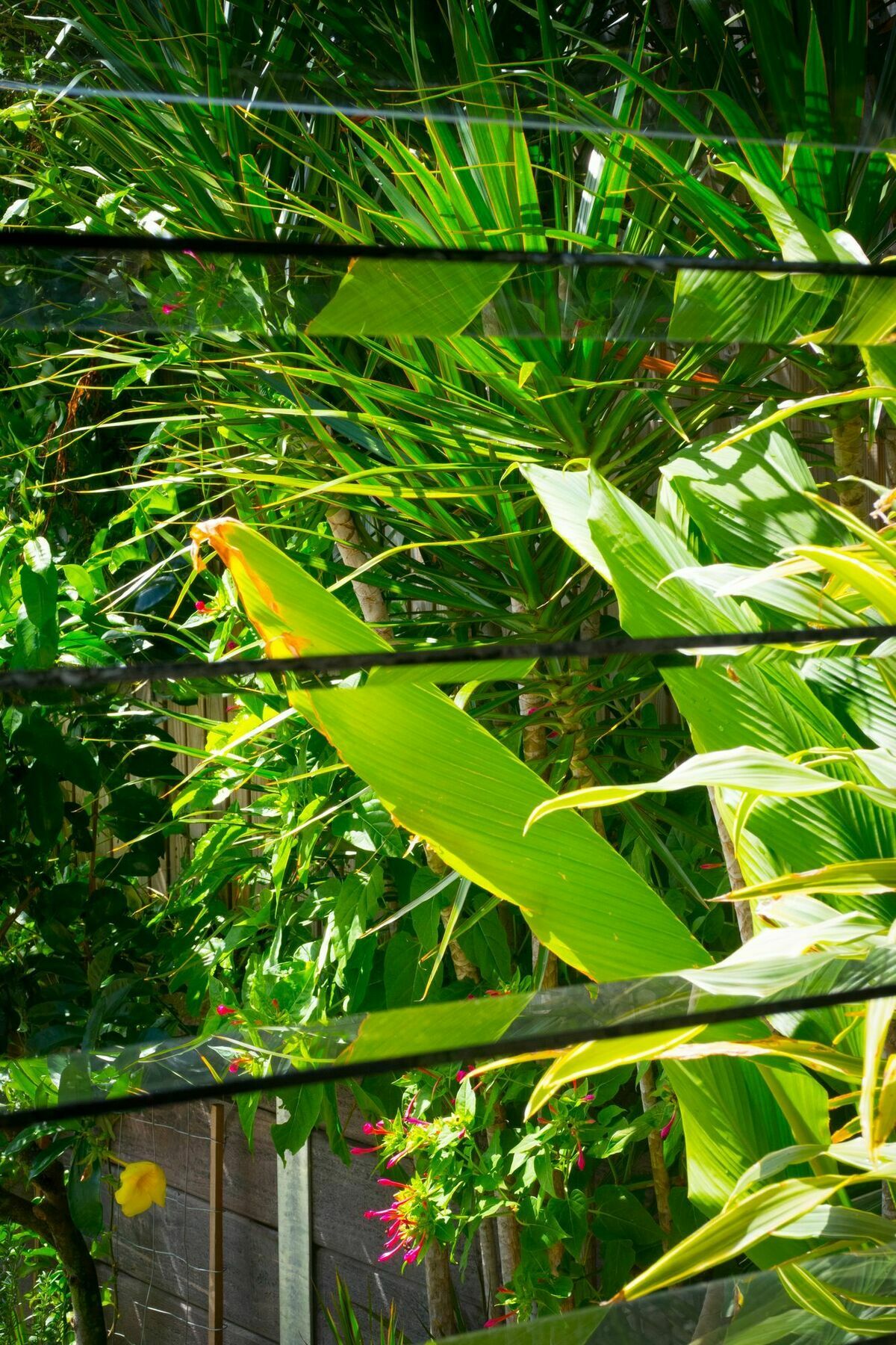 Ruskin House Byron Bay Zewnętrze zdjęcie